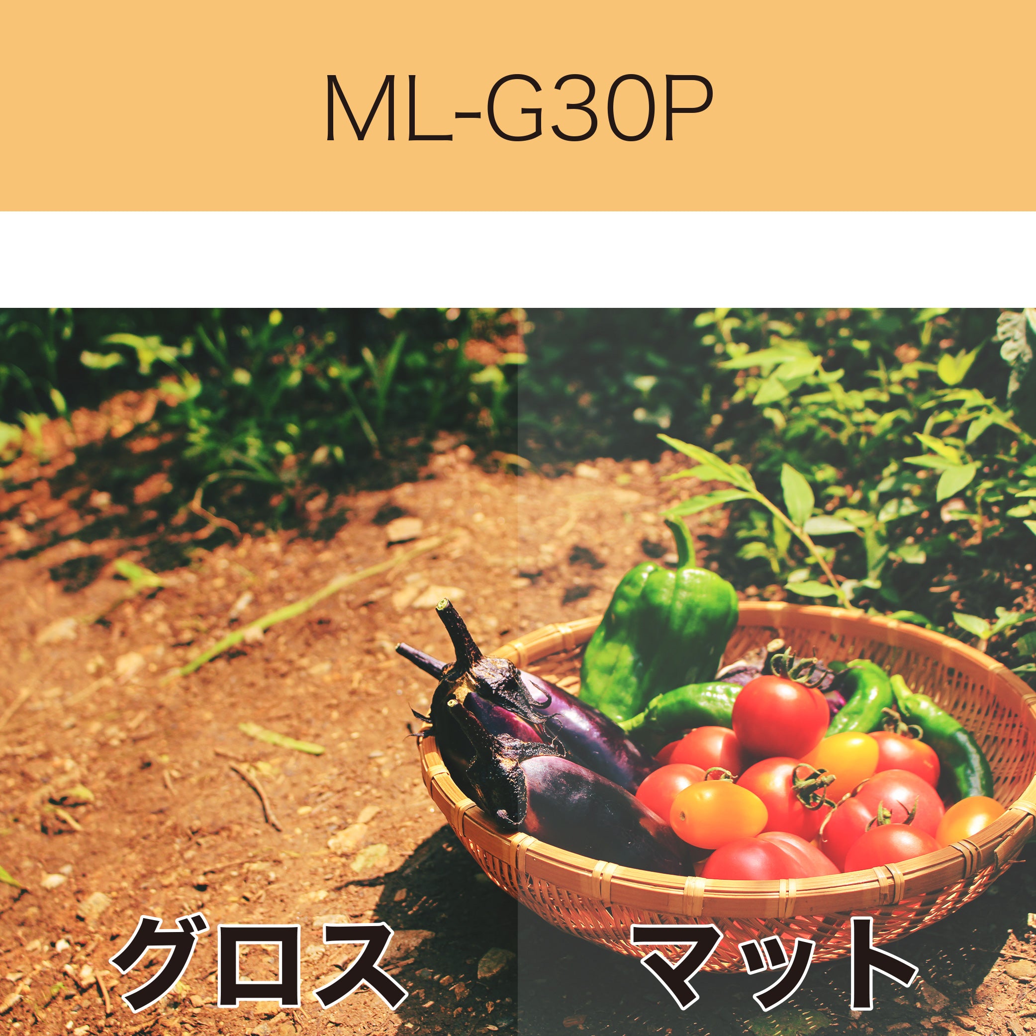 ML-G30P 塩ビラミネート グロス(中期用)