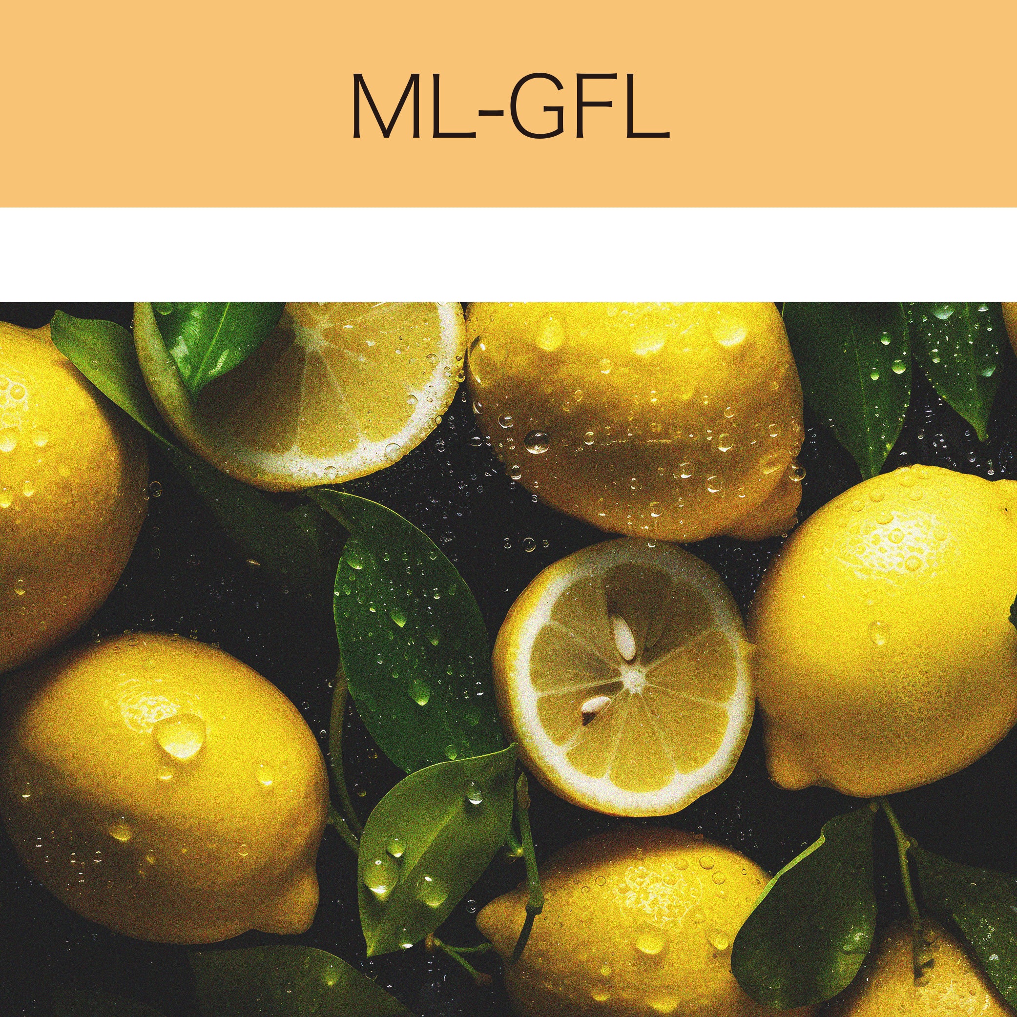 ML-GFL フロア用光グロスPETラミネート