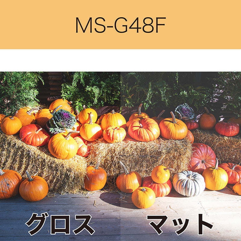 MS-G48F 塩ビラミネート グロス(国産 中長期用)