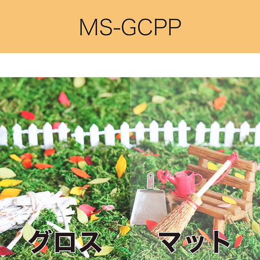 MS-GCPP　PPラミネート　グロス